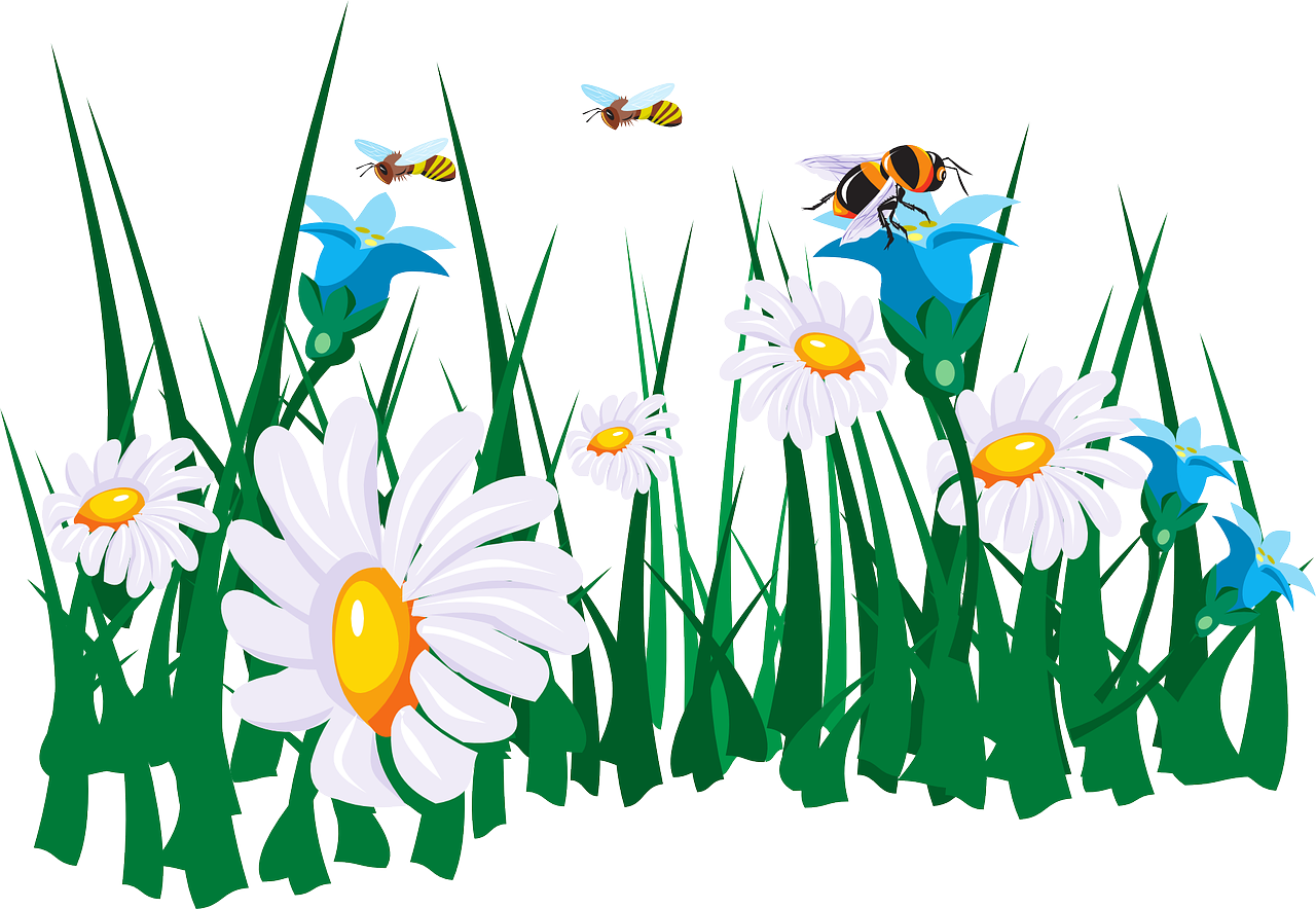 Jardin-pixabay