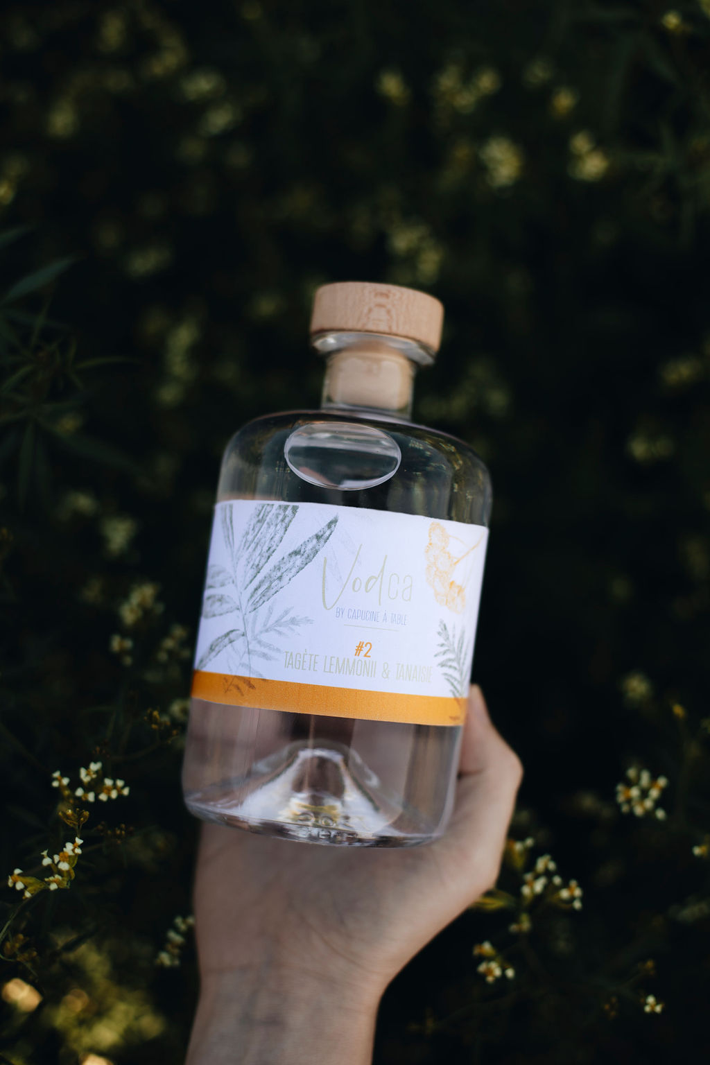 VodCa - Maurine Toussaint-2