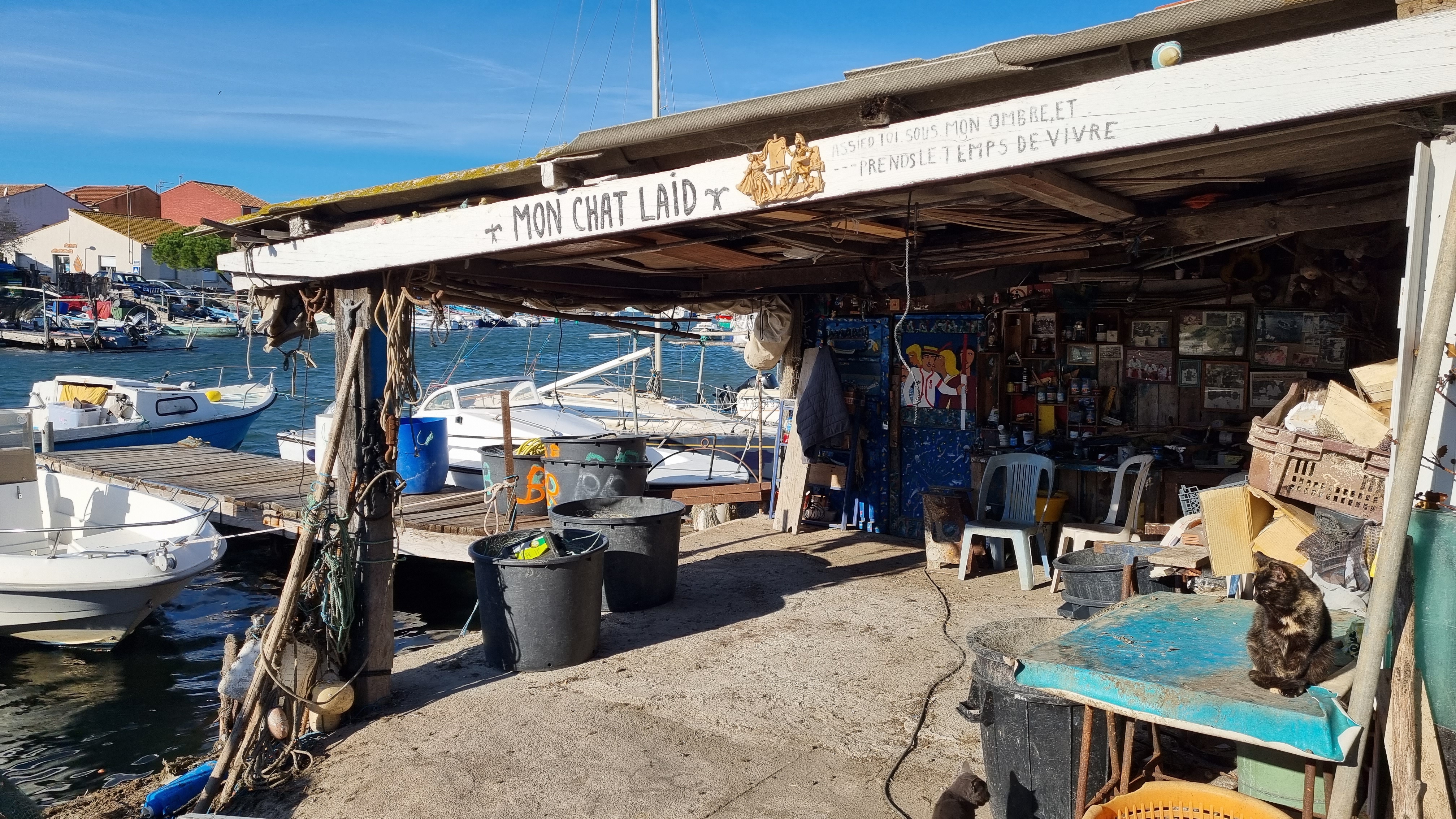 20211203 la pointe courte 16 