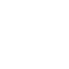 Icons8-internet-100-blanc