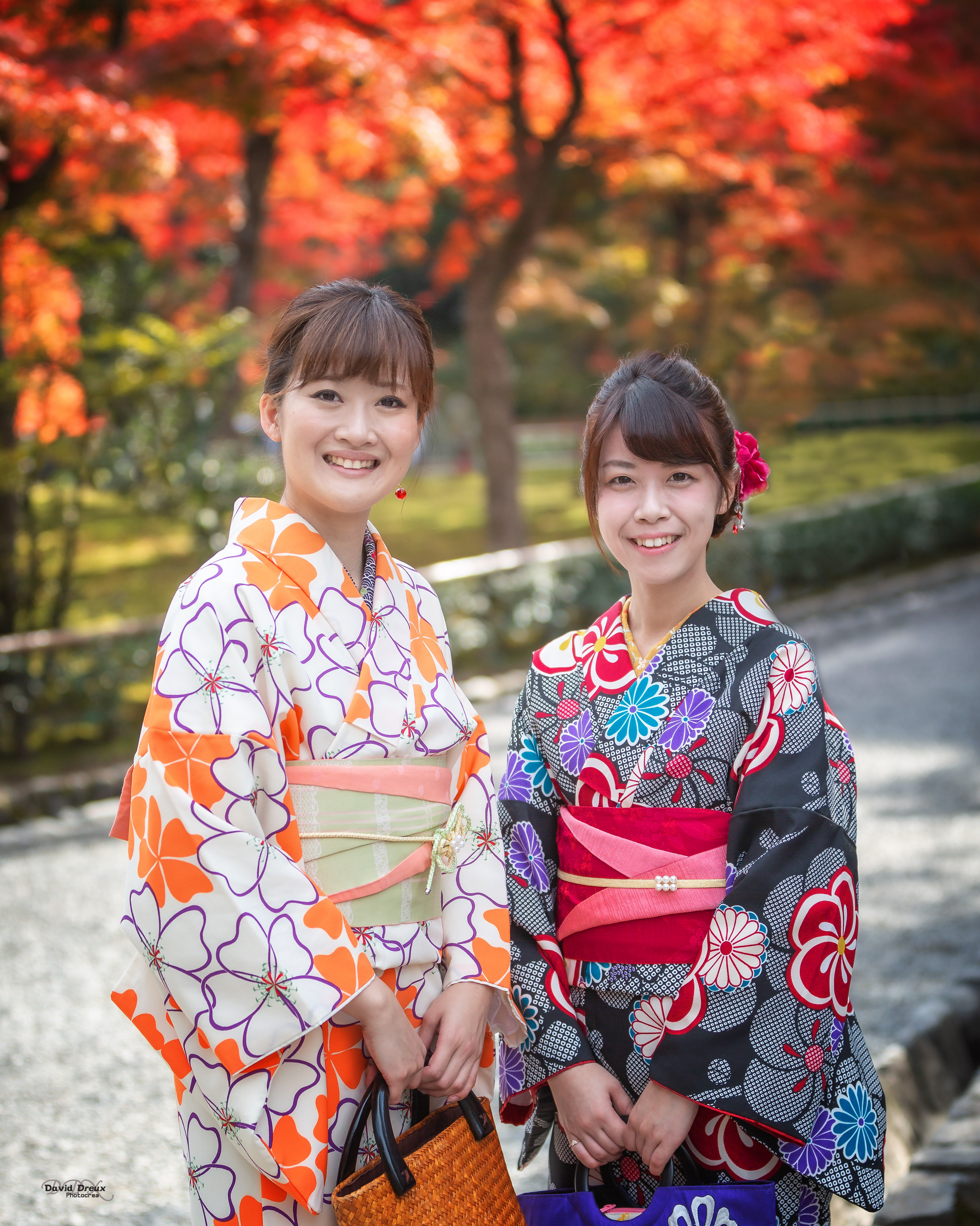 Japan 2c 110 kyoto