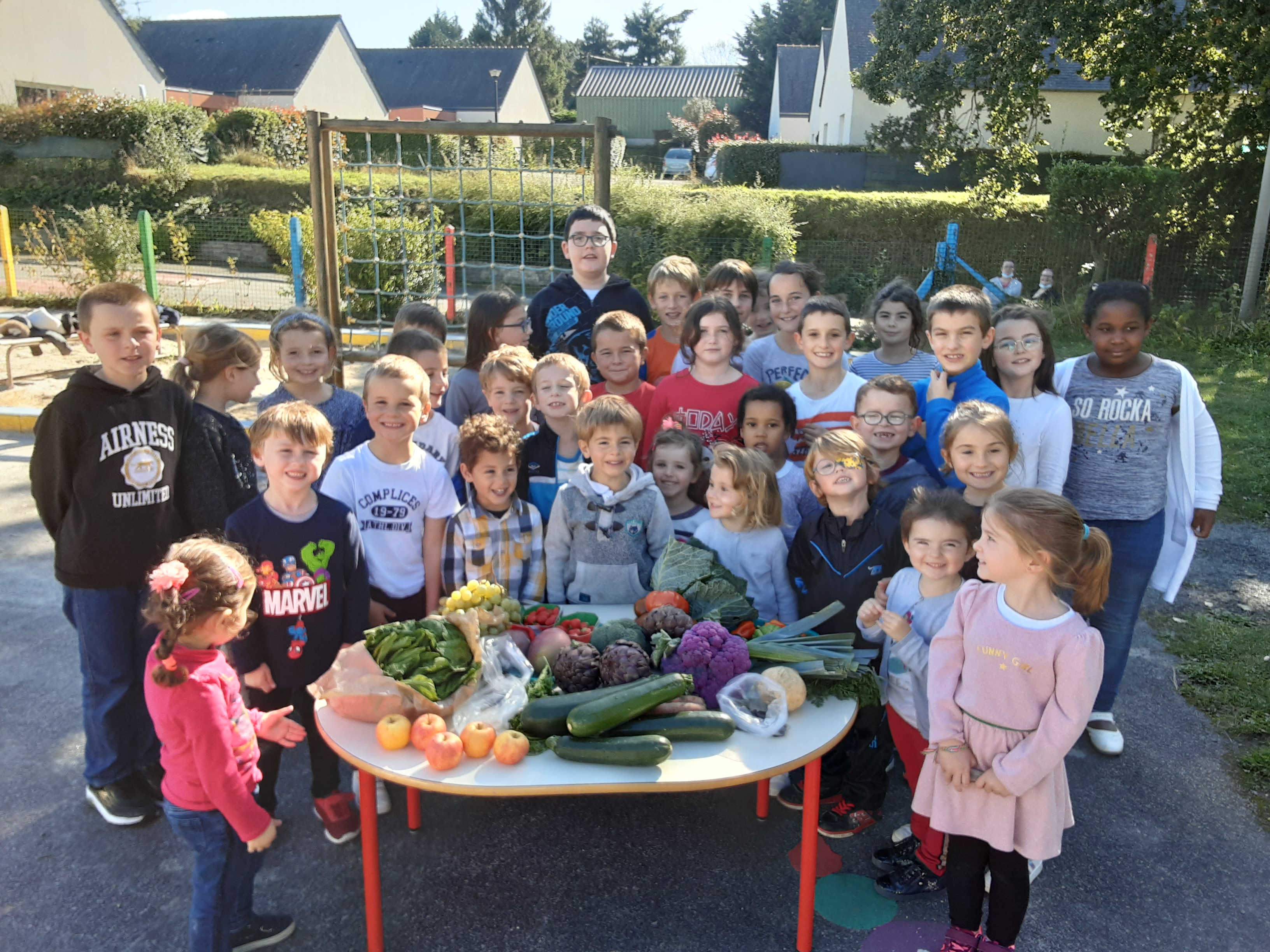 Ecole groupe legumes