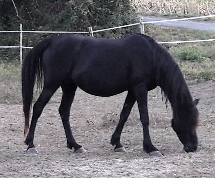 20180929 233704