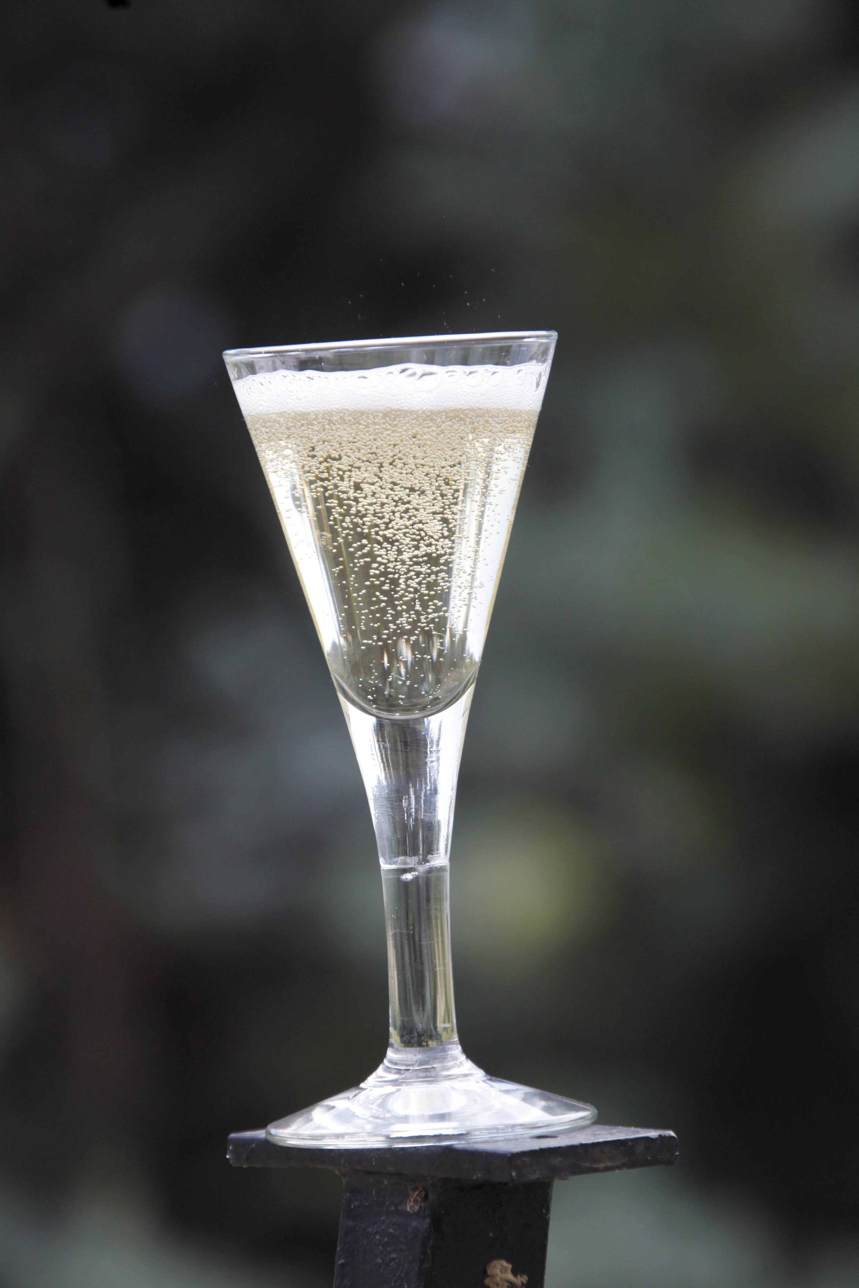 Verre-de-Clairette-de-Die-bio-du-domaine-les-Genets