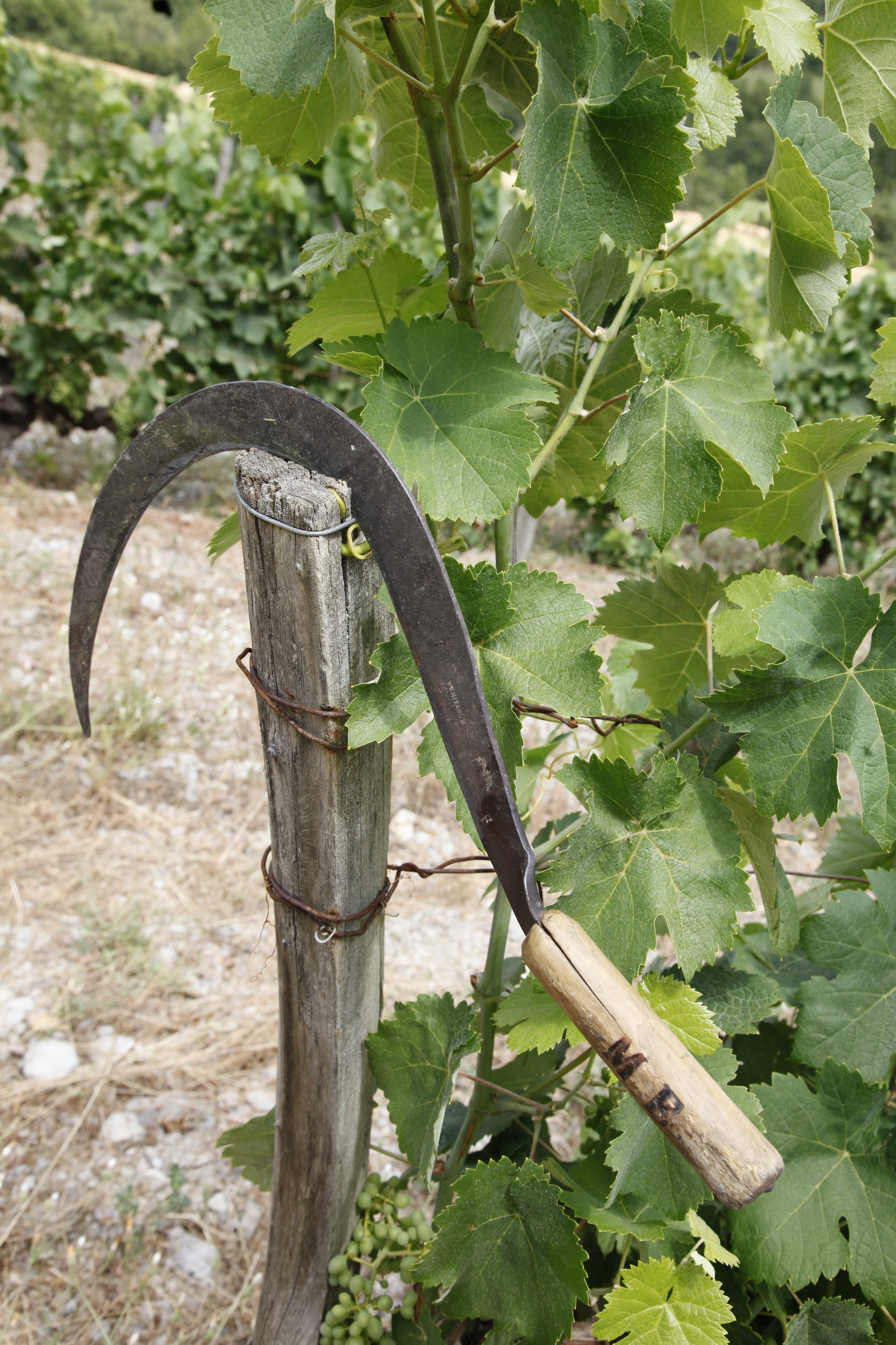La serpe du grand pere marcel