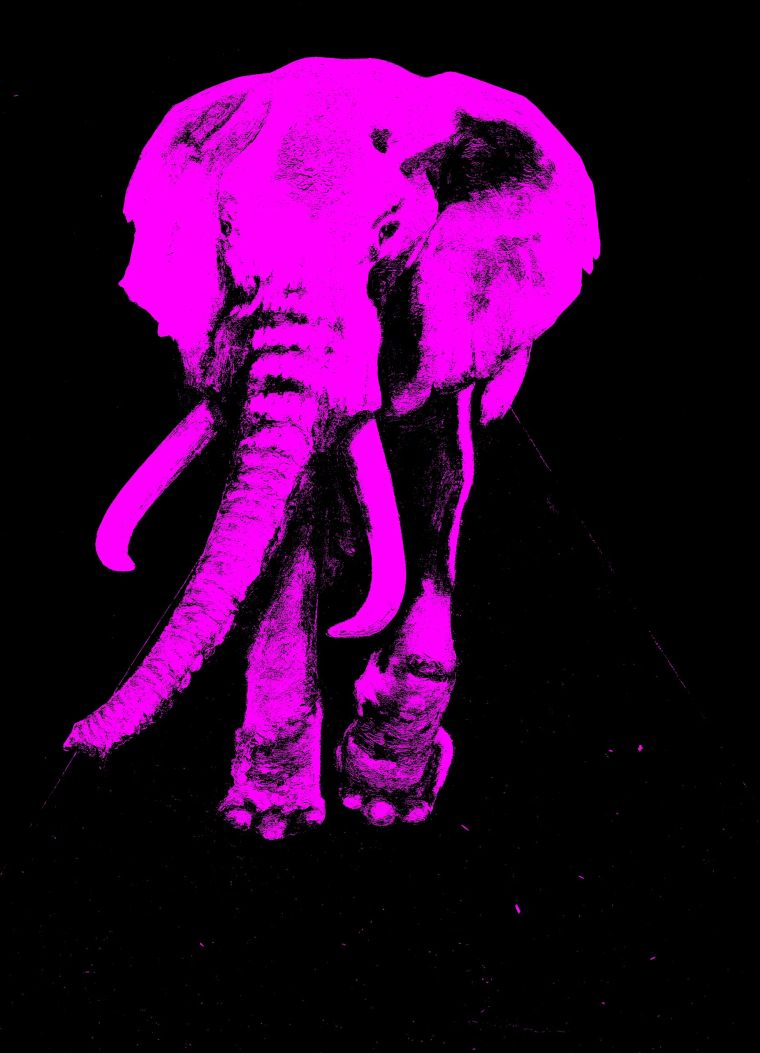 Copie de elephant 1994