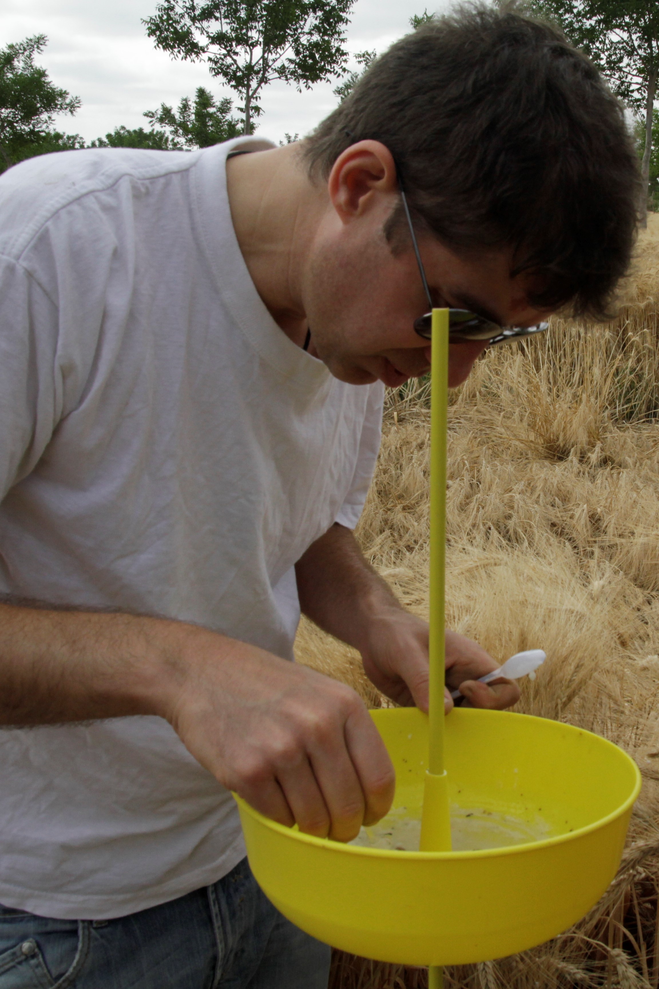 Observation de la biodiversite en agroforesterie sam2bra 2 