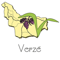 Verze