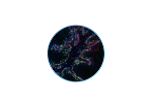 Enosis Imagerie Medicale-removebg-preview