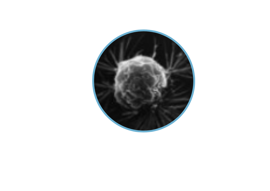 Enosis-Imagerie-Medicale-3-