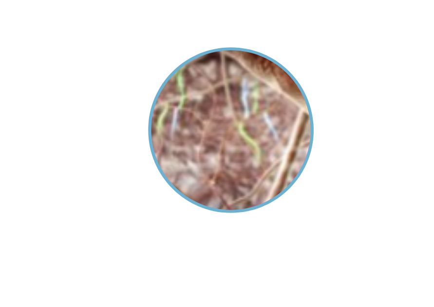 Enosis-Imagerie-Medicale-5-
