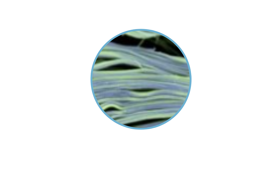 Enosis-Imagerie-Medicale-6-
