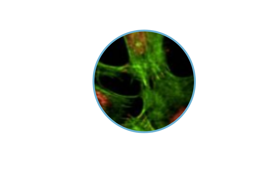 Enosis-Imagerie-Medicale-7-