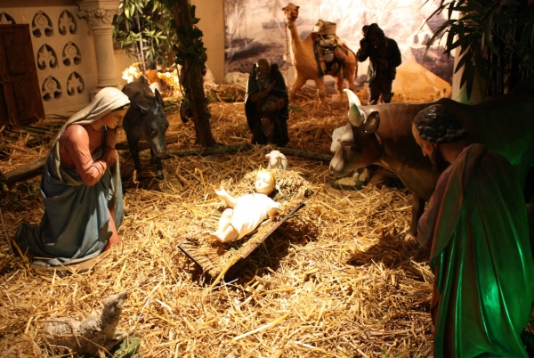 Image 2021-12-21 215335