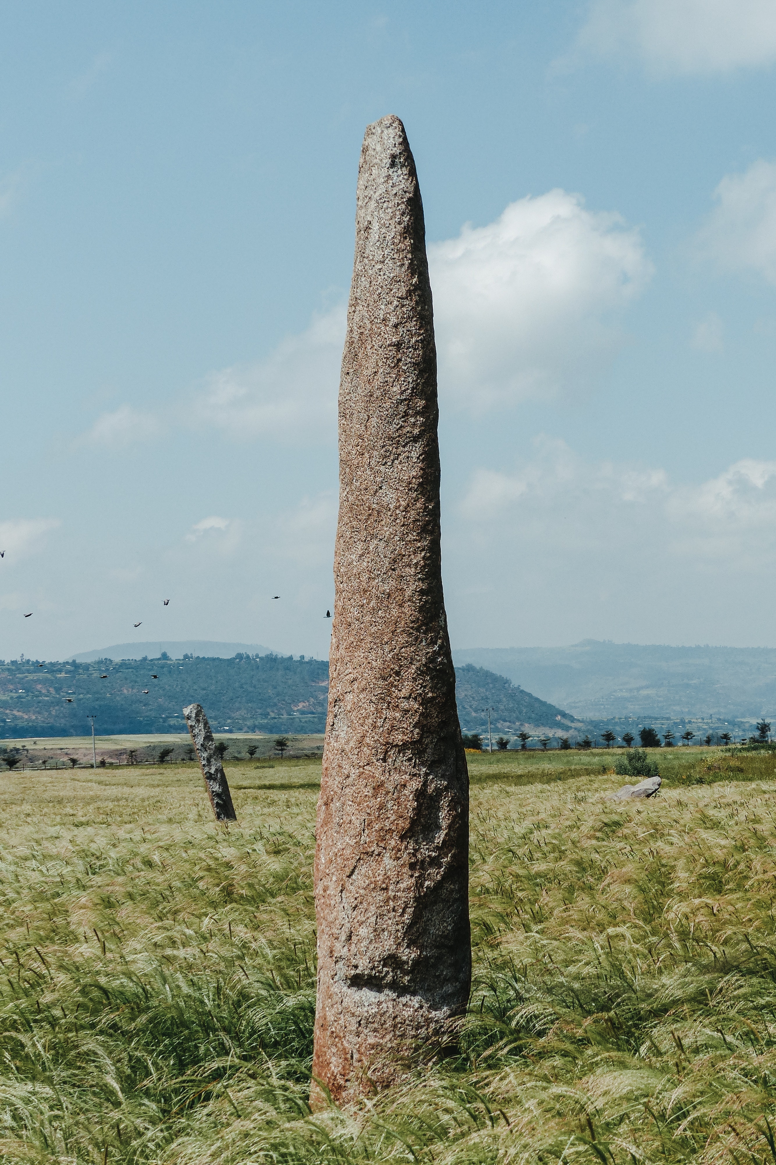Rééquilibrage énergétique d'un terrain par la pose de menhir