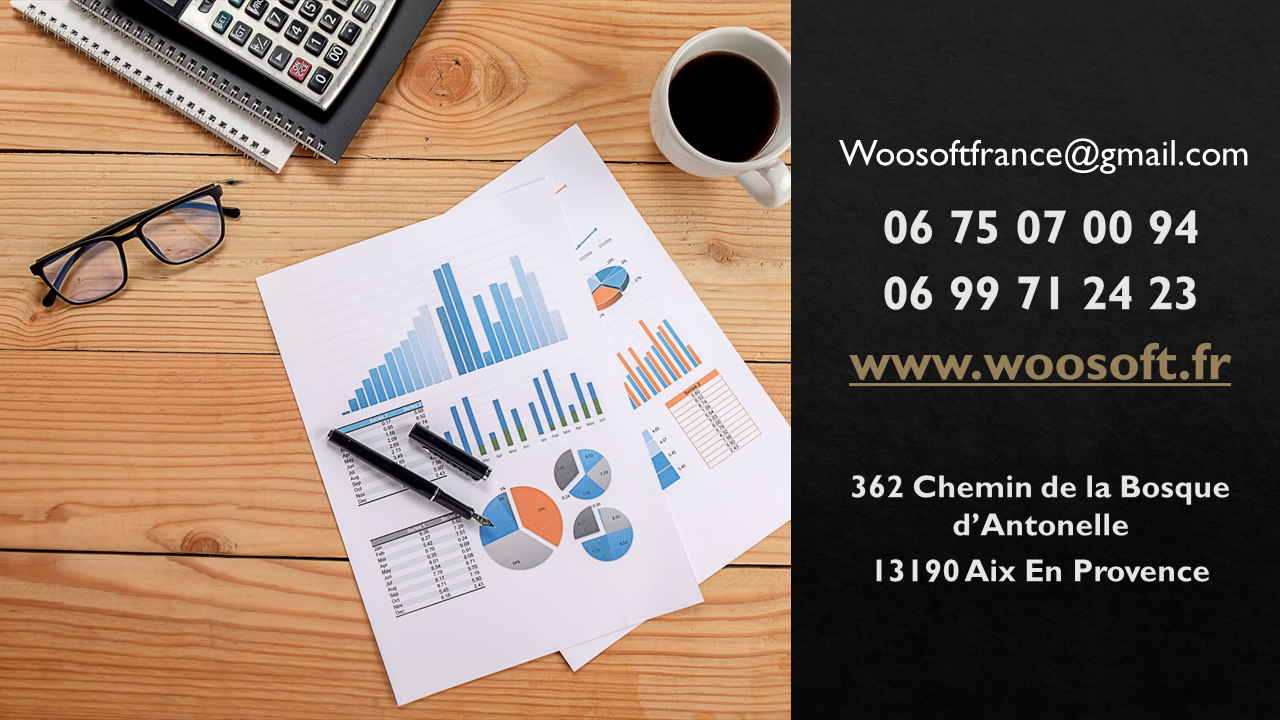 Slide-coordonnees-woosoft-2