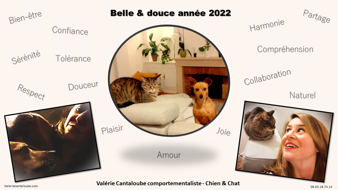 Craquotte et Mya se joignent à moi pour vous envoyer nos vœux sincères pour 2022. 