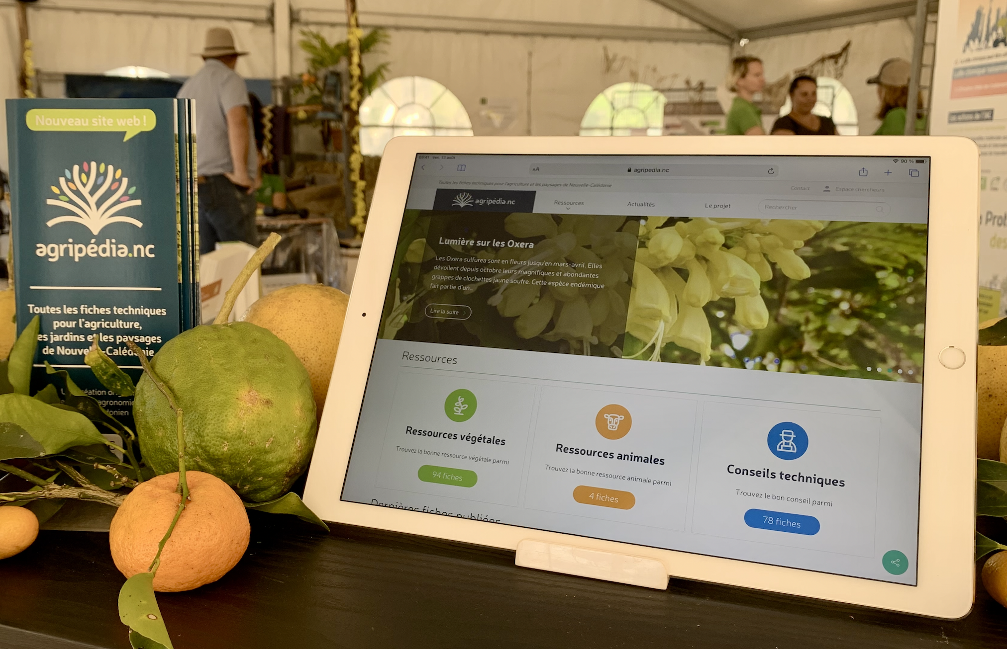 Tablette-agripedia-2021