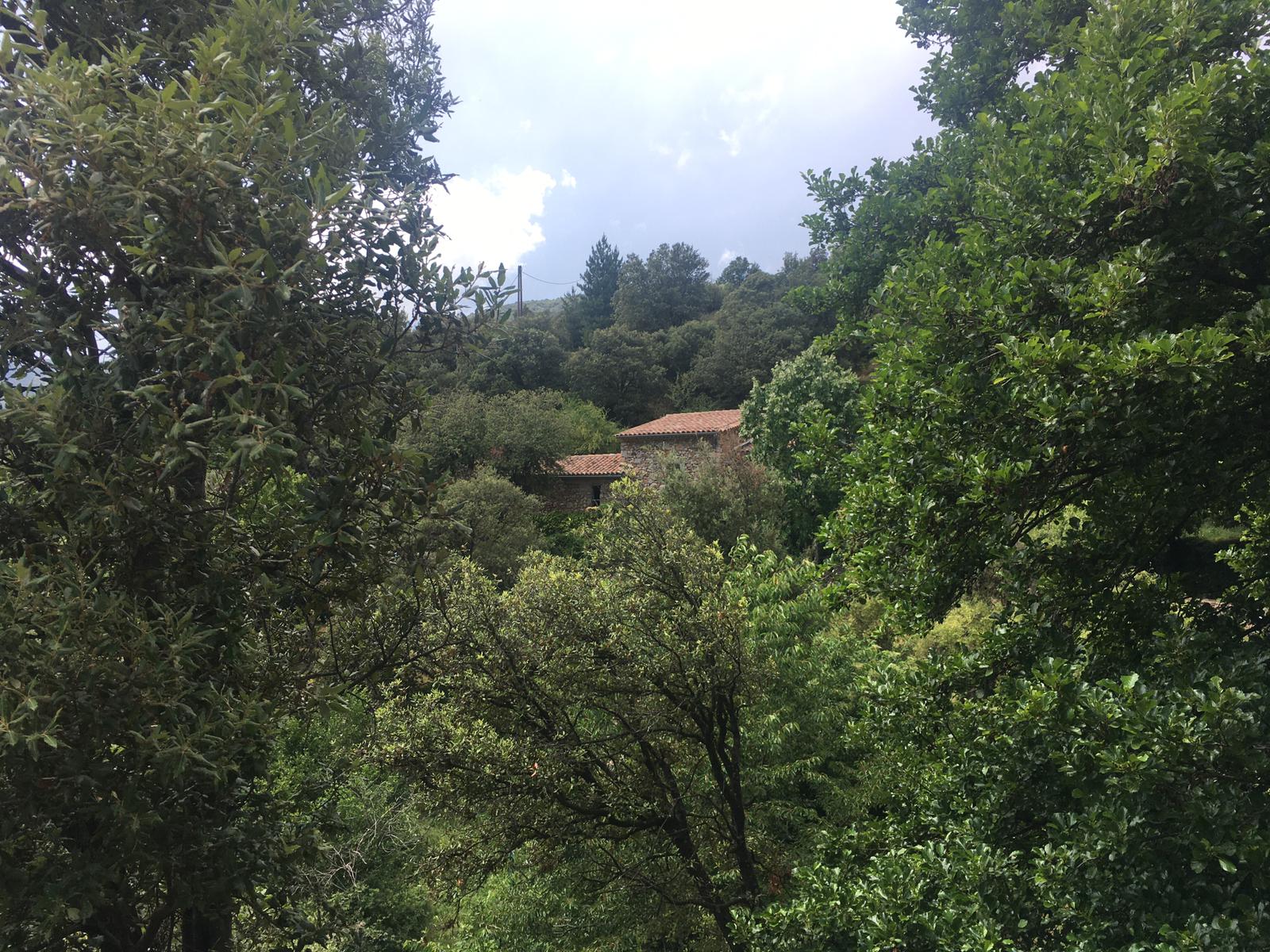 Img 20210622 wa0080