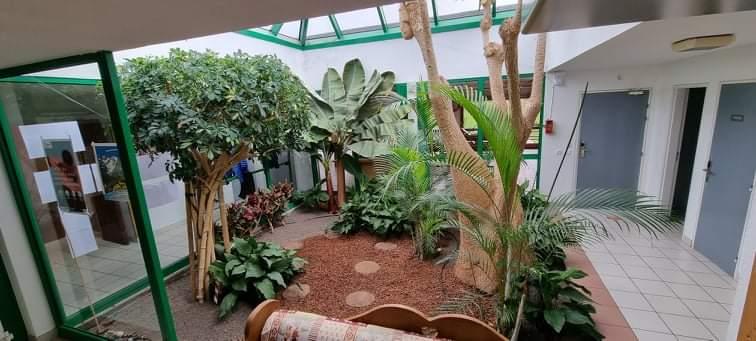 Jardin interieure