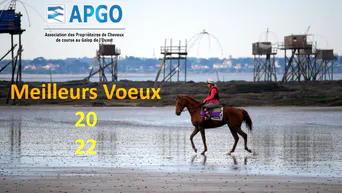 BONNE ET HEUREUSE ANNÉE 2022