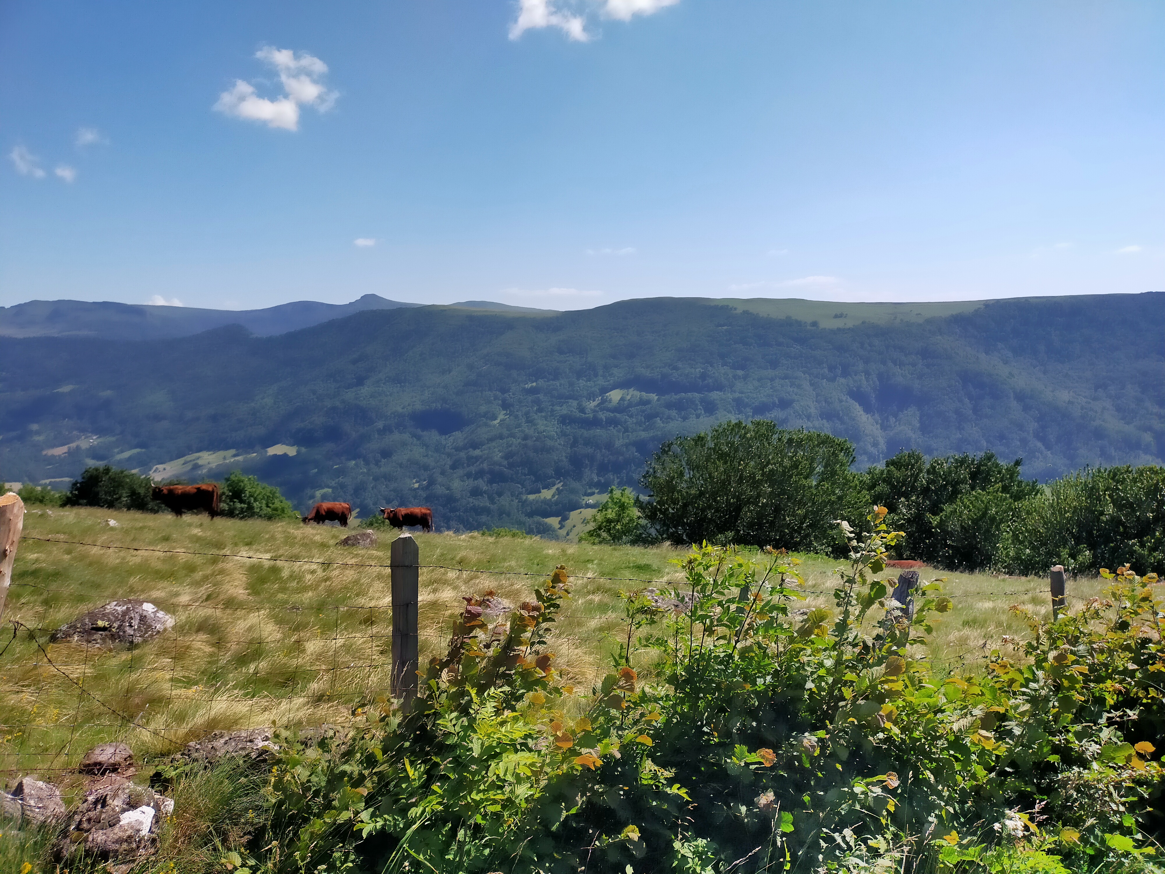 Img20210719162322