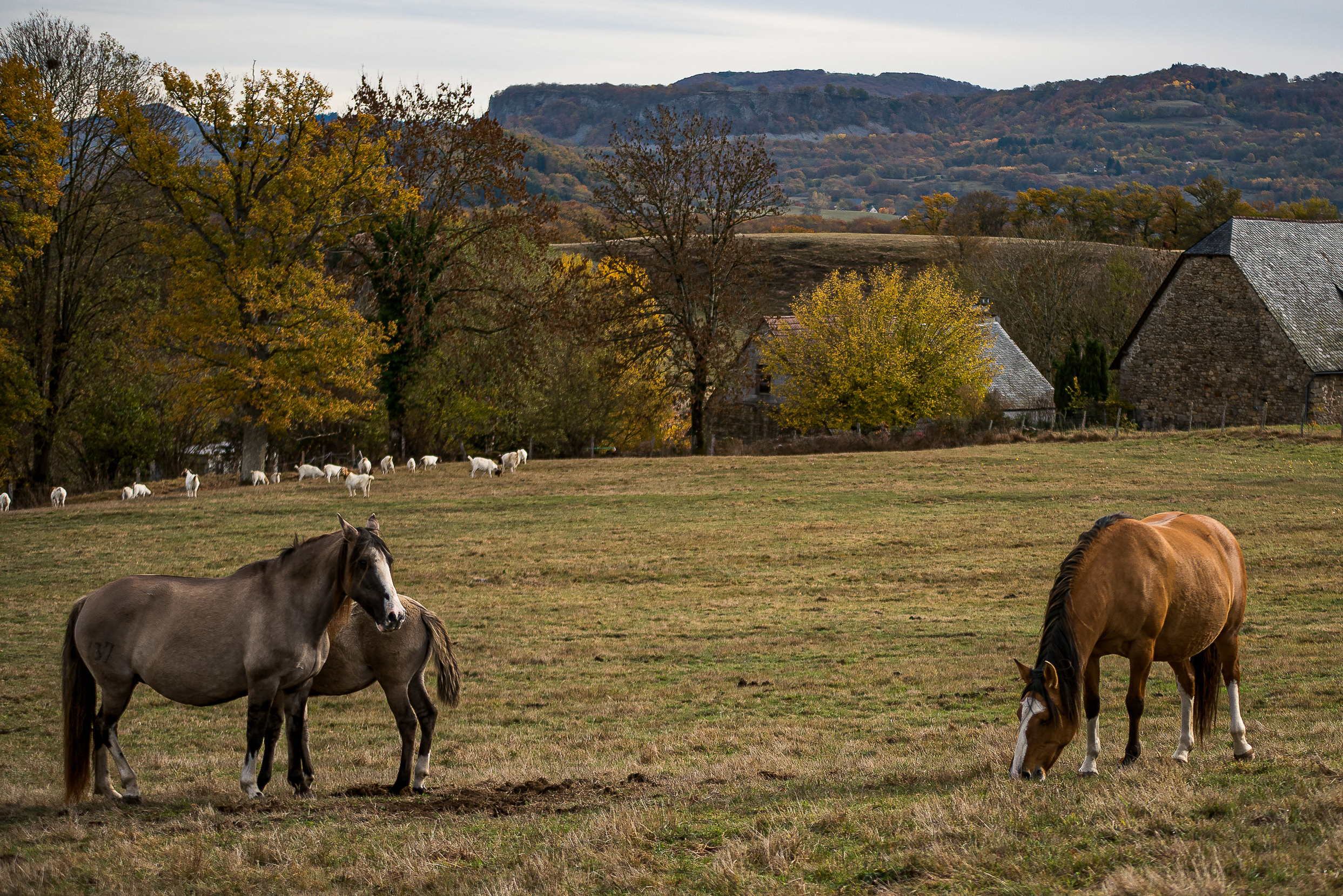 Fa4 167808 novembre 2018ch juge