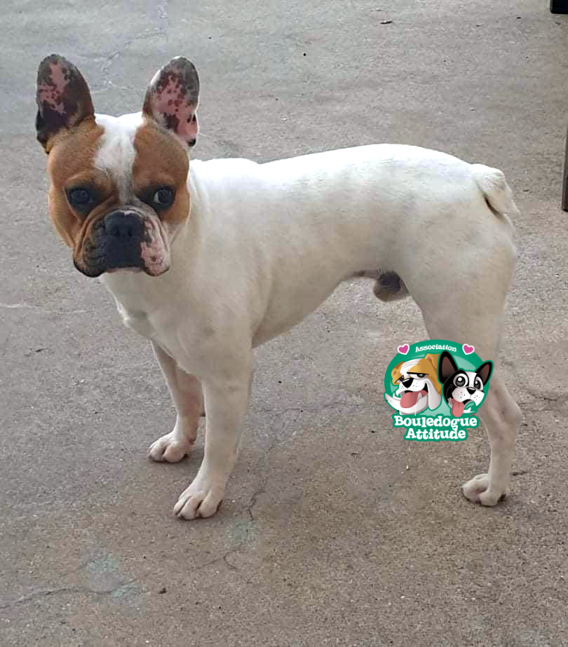 Paco