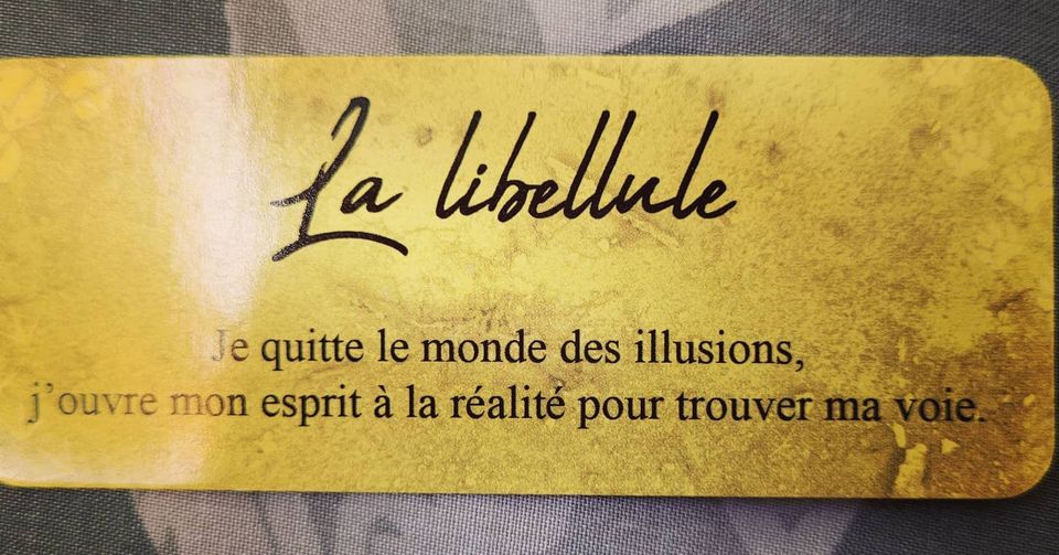 Message du 31/12/2021