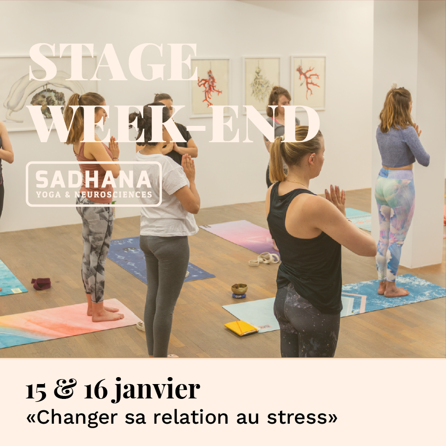 Shadana-15-16-janvier-2022