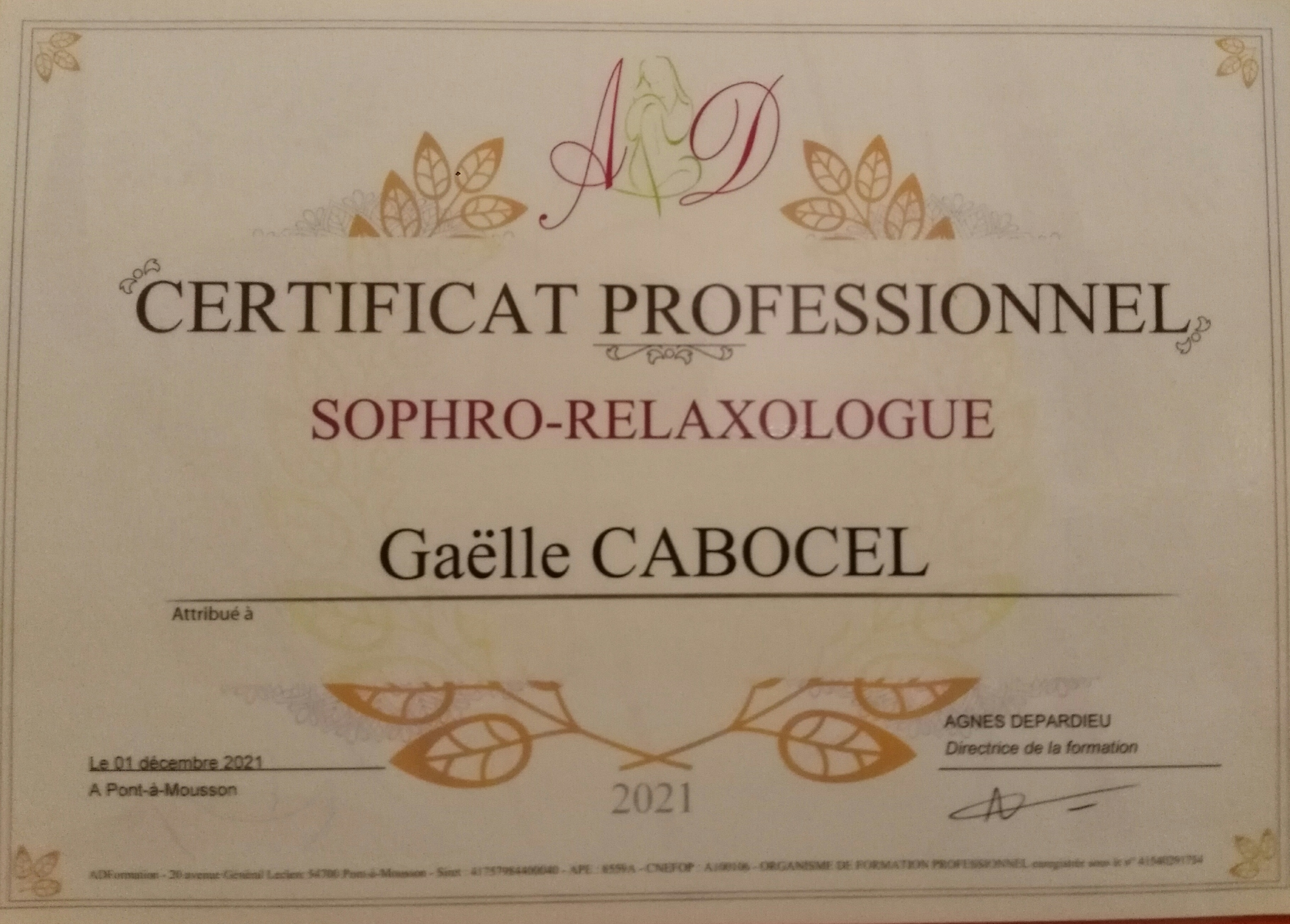 Diplôme de sophrologue et relaxologue : sophro-relaxologue