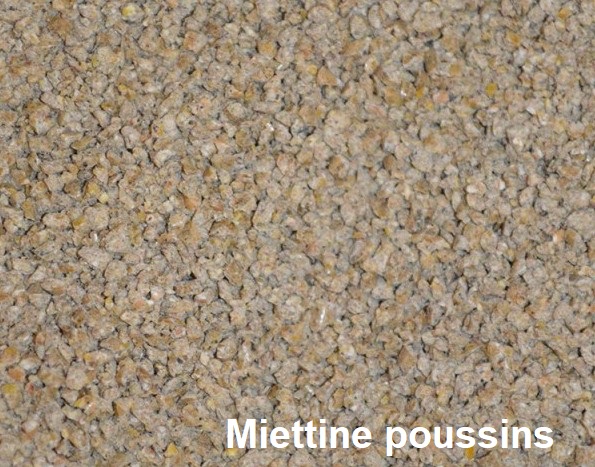 Aliment-2