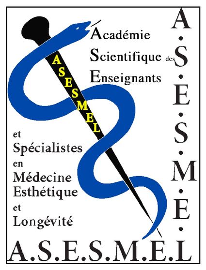 Logo-asesmel-site-web