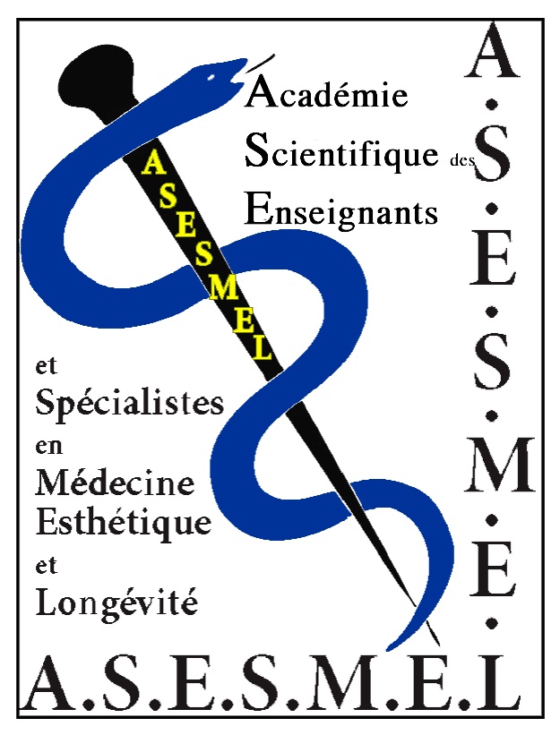 Logo-asesmel-site-web