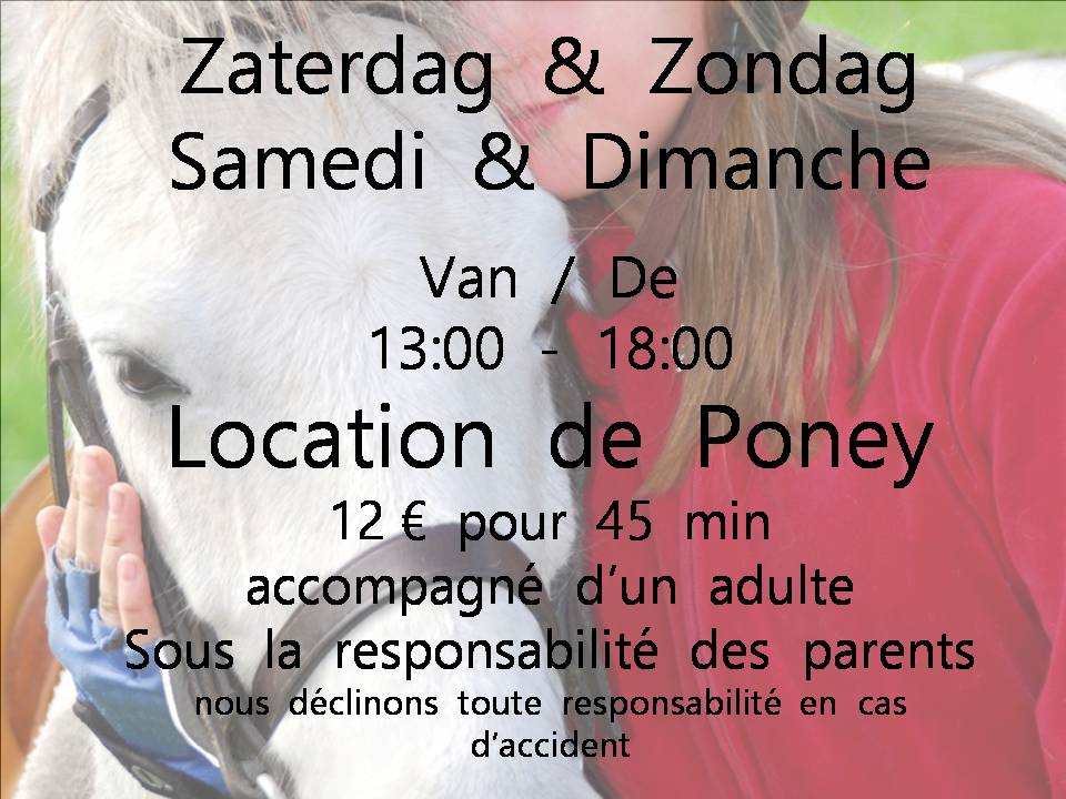 Location poney