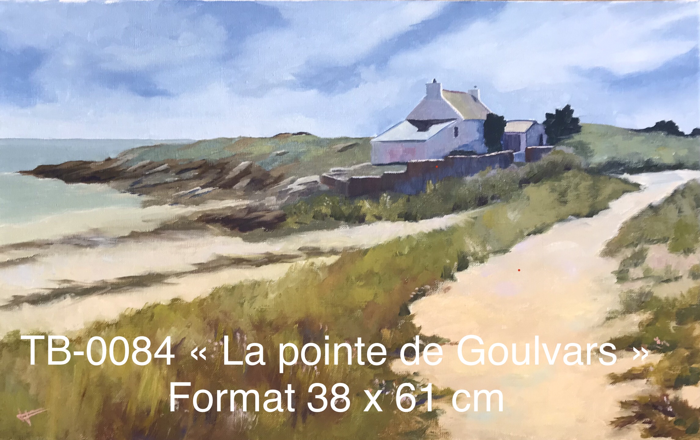 Ty by artiste peintre quiberon tb0084