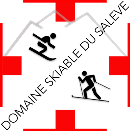 Logo-DSS 30x30