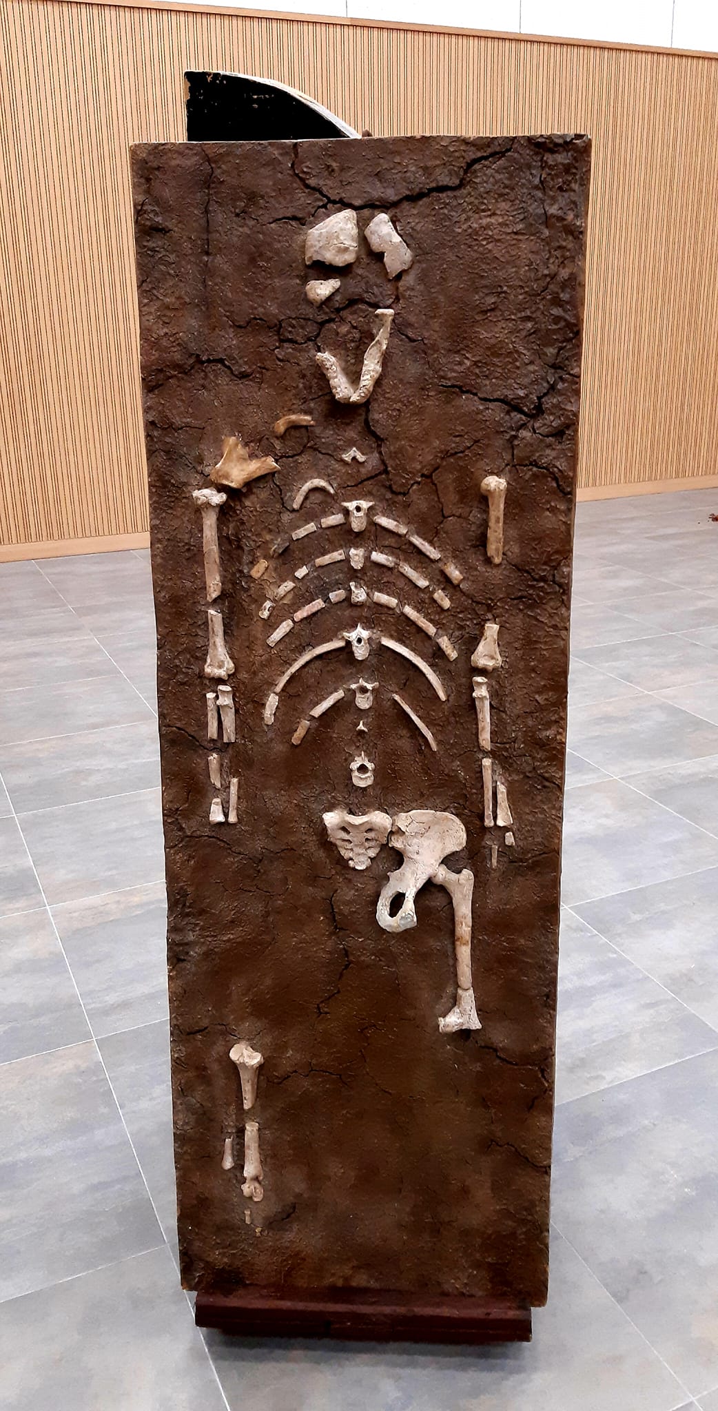 271591334 398787555336182 63271518541463395 n