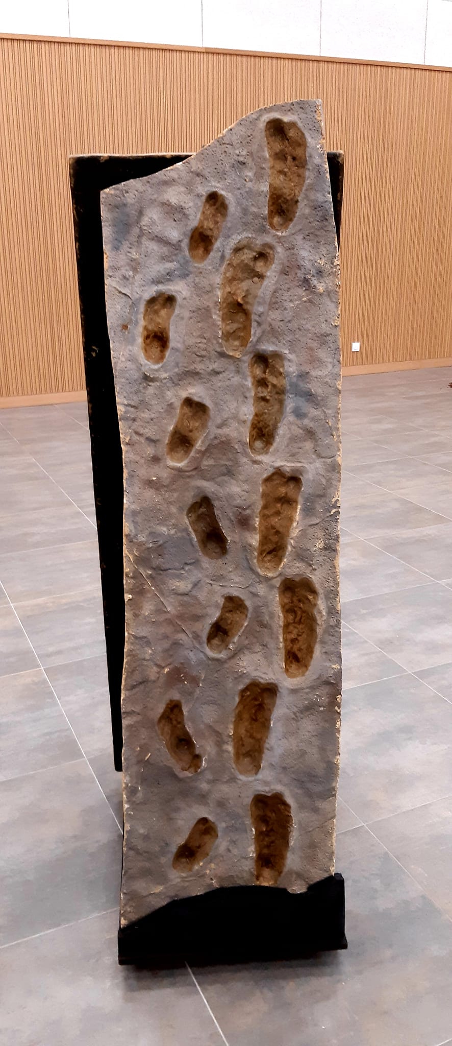 271979423 398787592002845 8259823718114920659 n