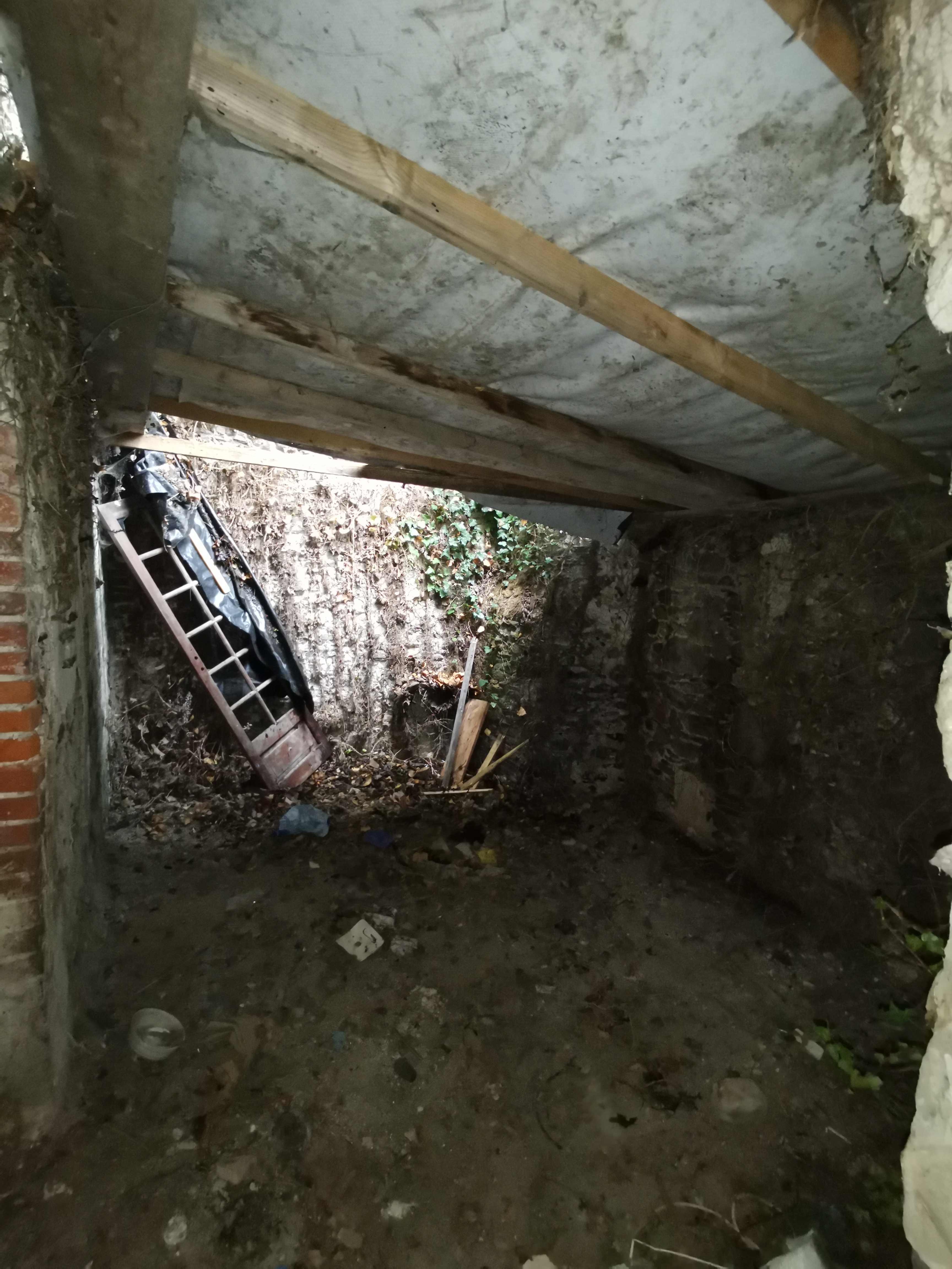 Img 20211113 150617