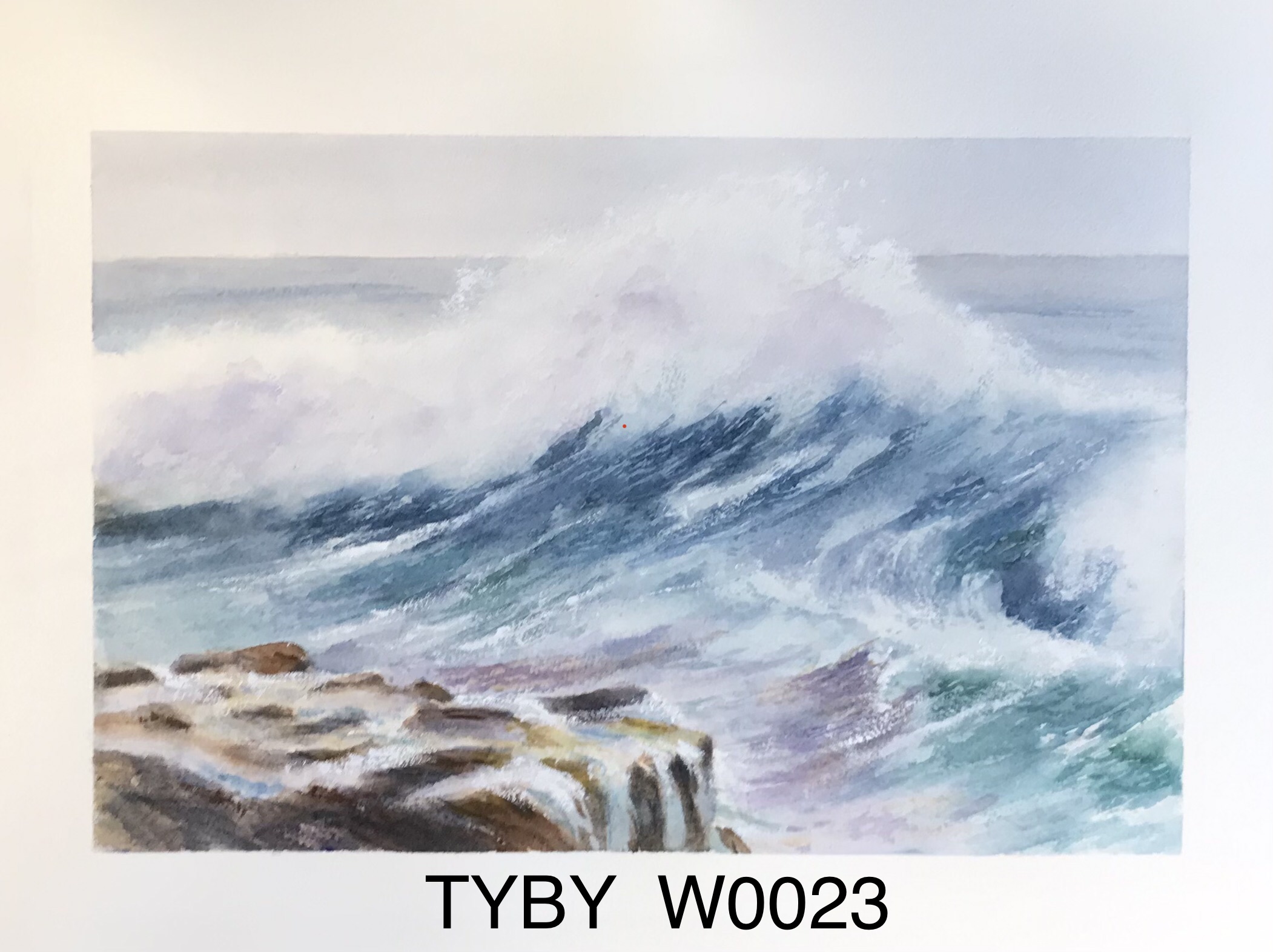 Tyby w0023