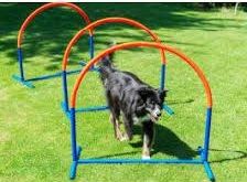 Arceaux de Hoopers pour les chiens