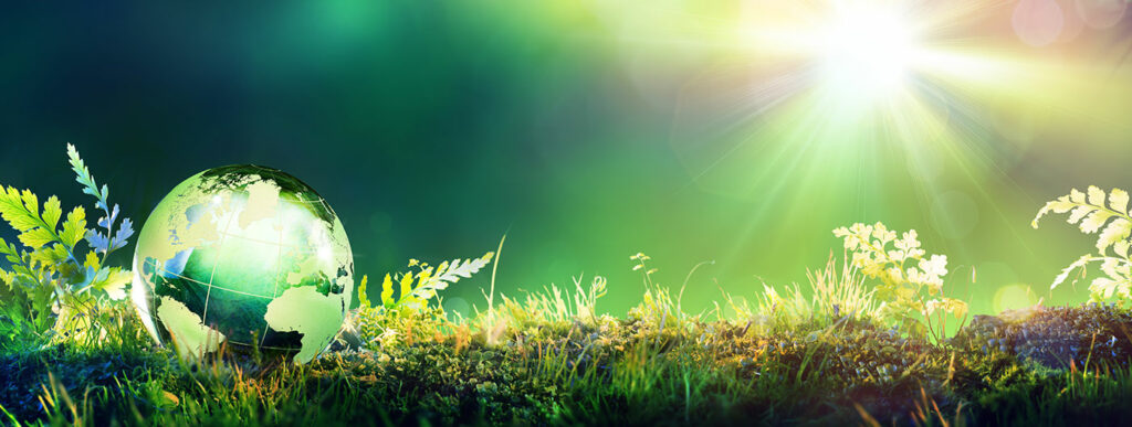 Respect environnement