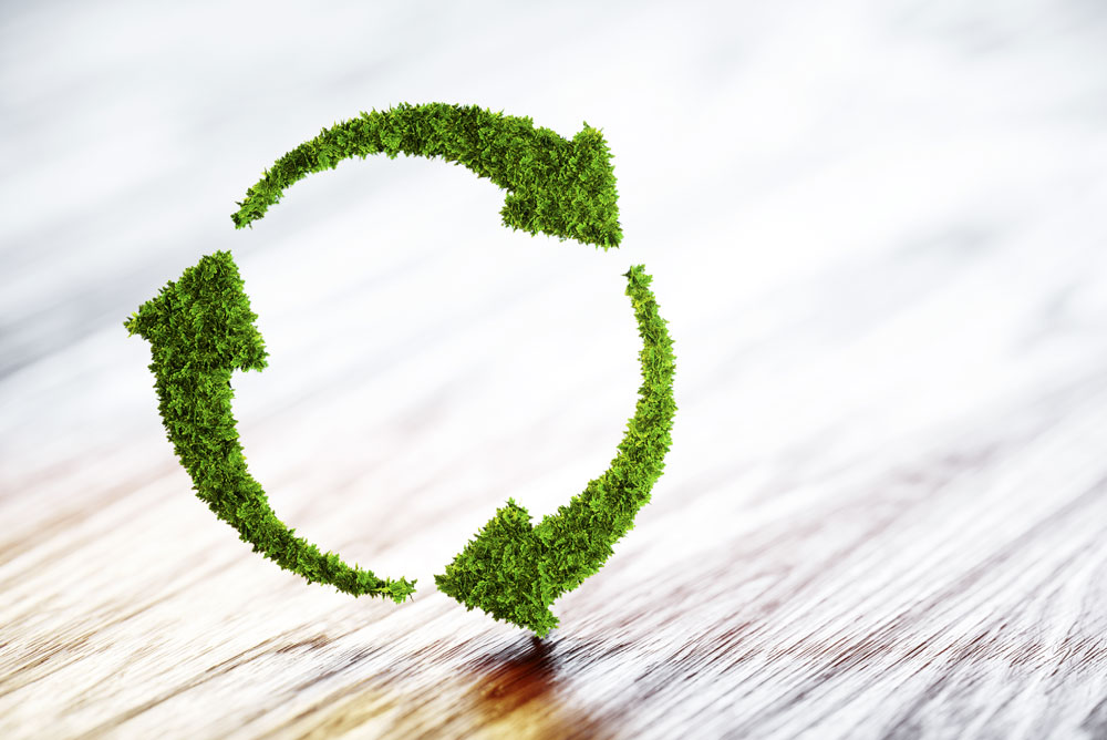 Paysagiste écologique Montélimar
