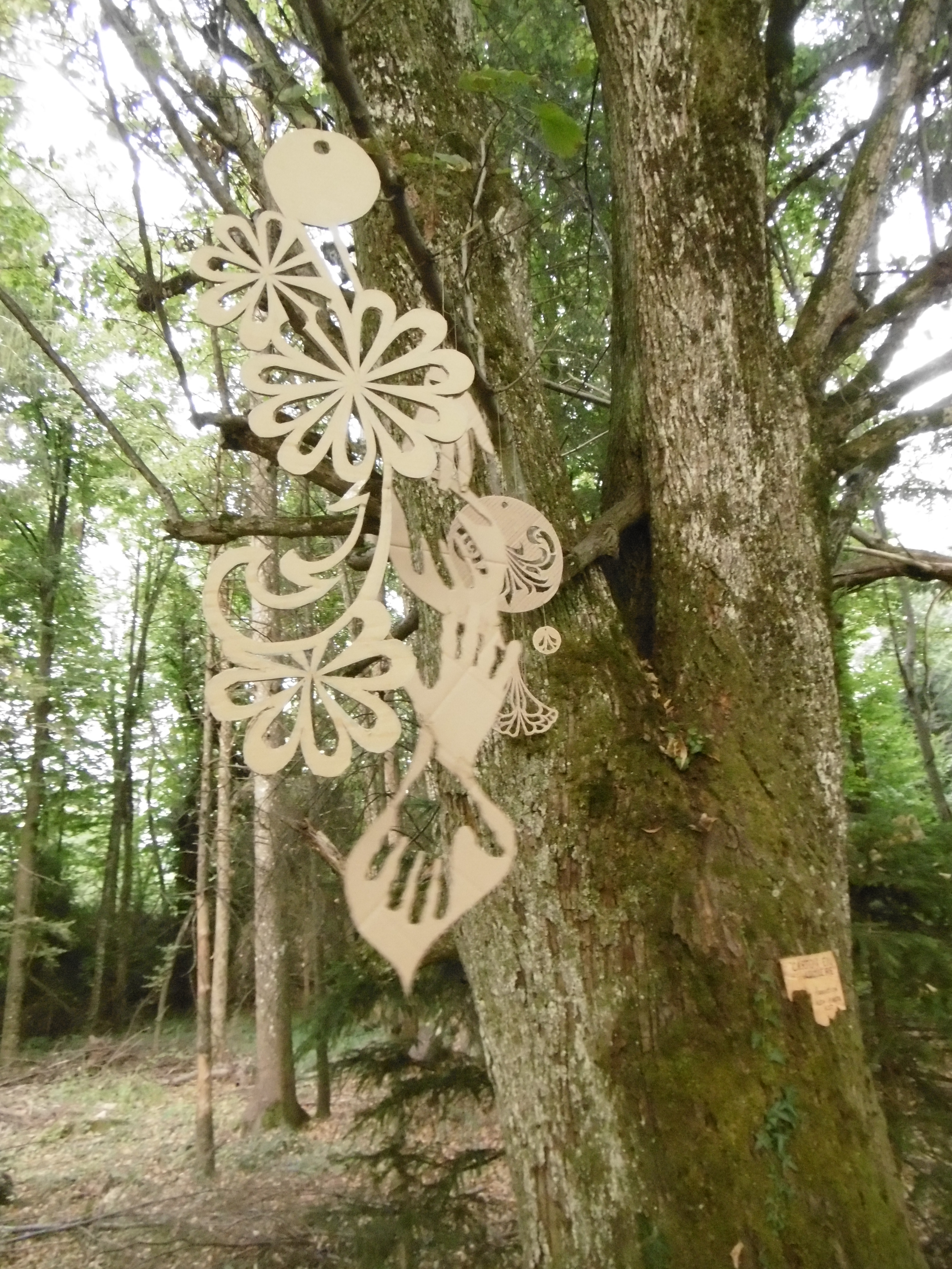 Atelier carton en lumiere 30 