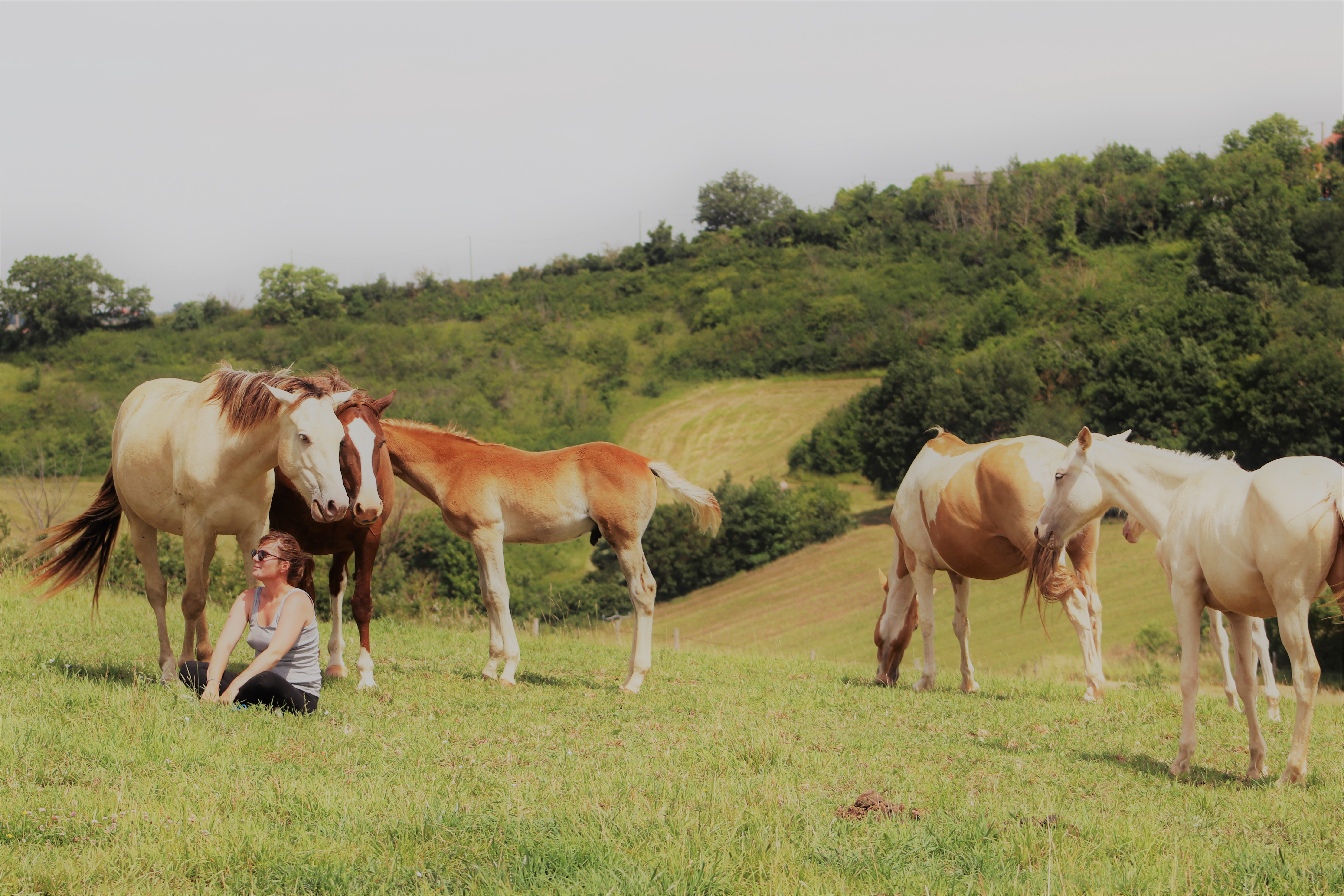 Famille-4