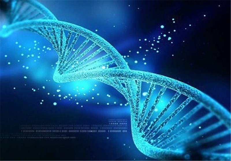 mémoire cellulaire contenu dans notre ADN et nos mitochondries.
Se libérer de ses croyances et de ses mémoires cellulaires, familliales.