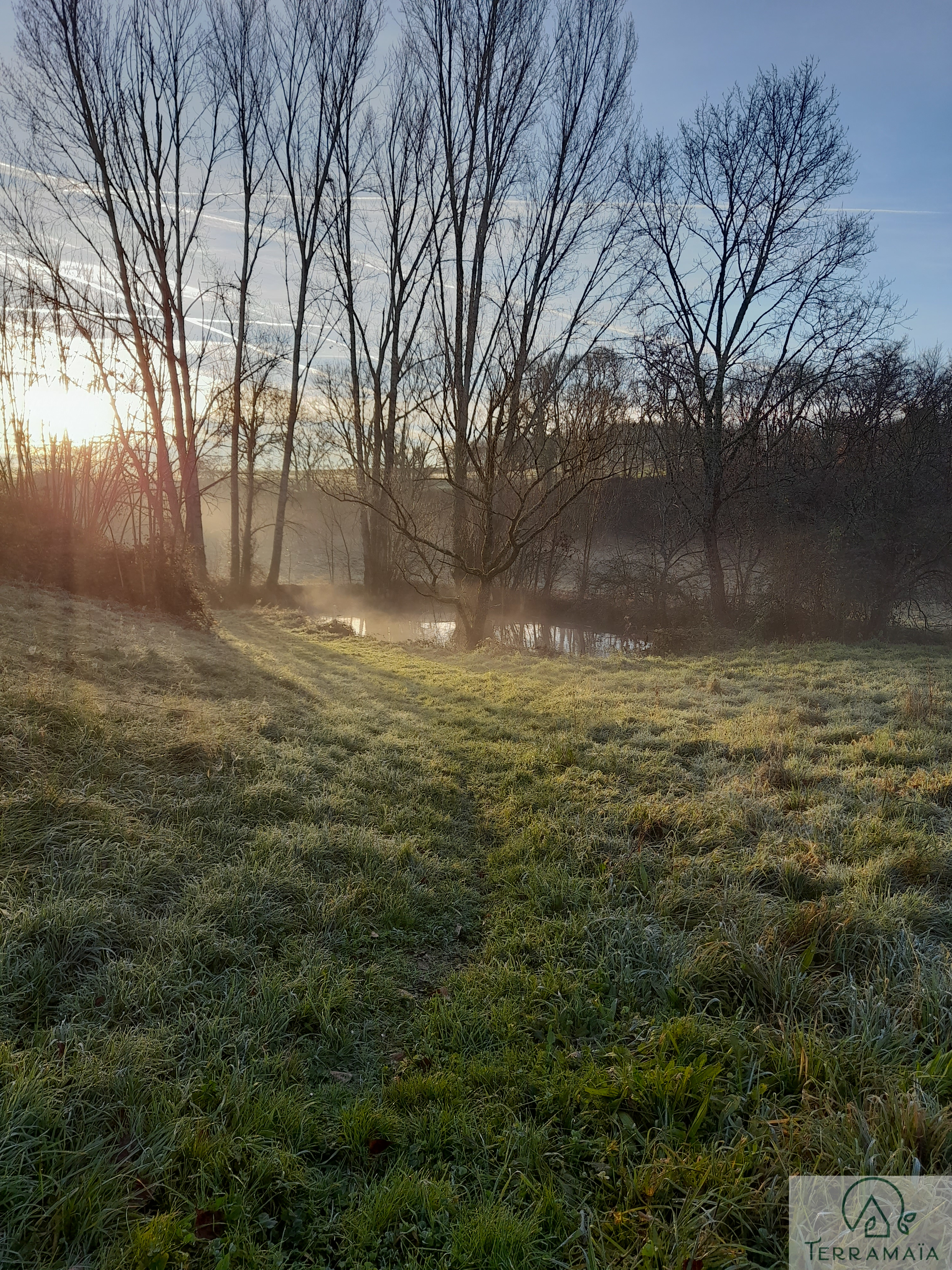 L etang de terramaia en hiver