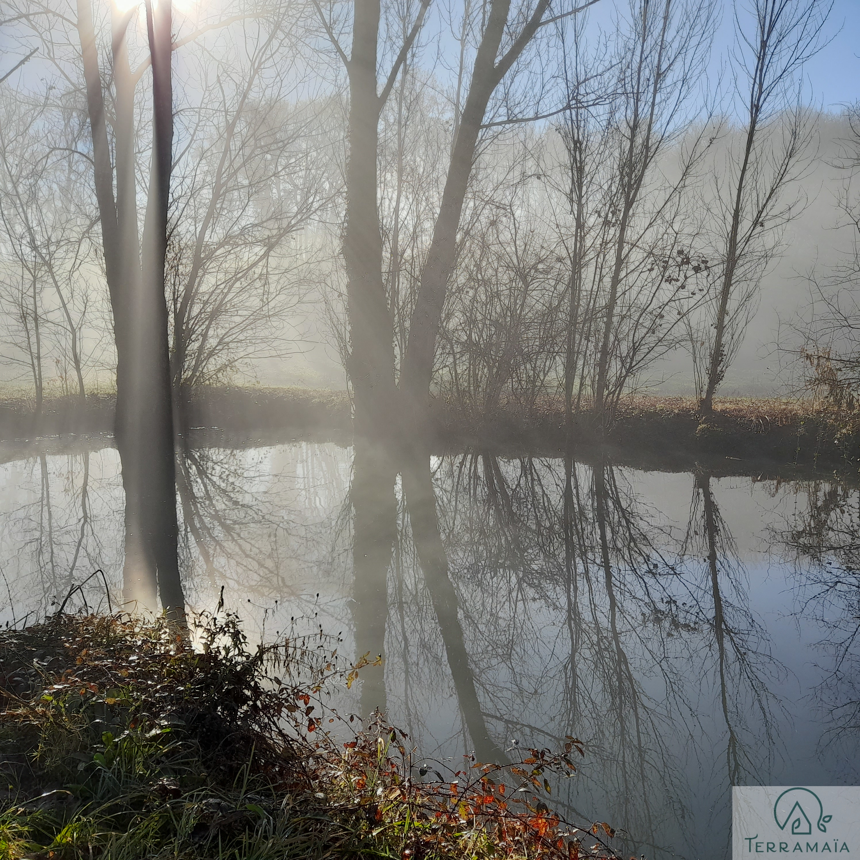 Terramaia etang de brume