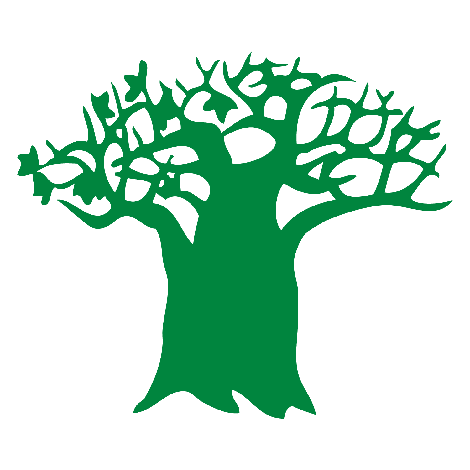 Baobab